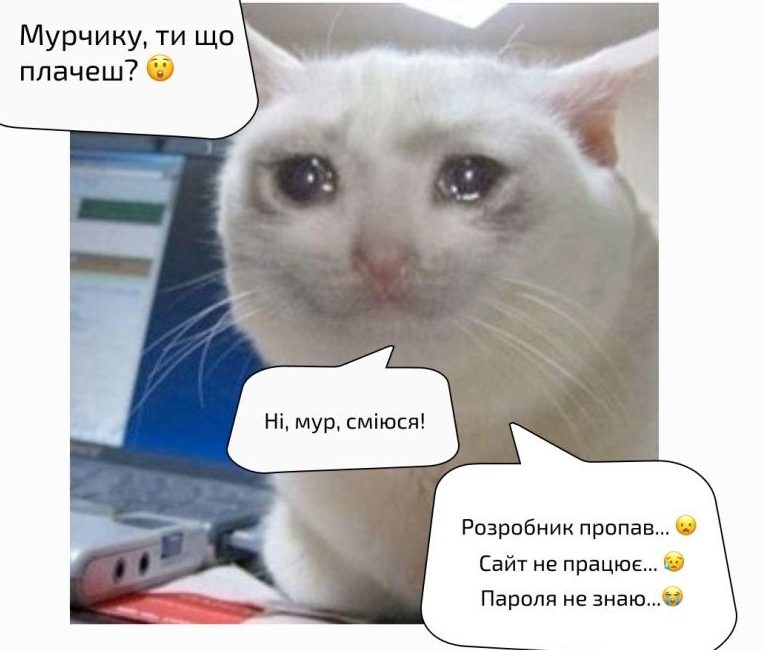 Котомем дня)