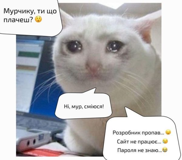 Котомем дня)