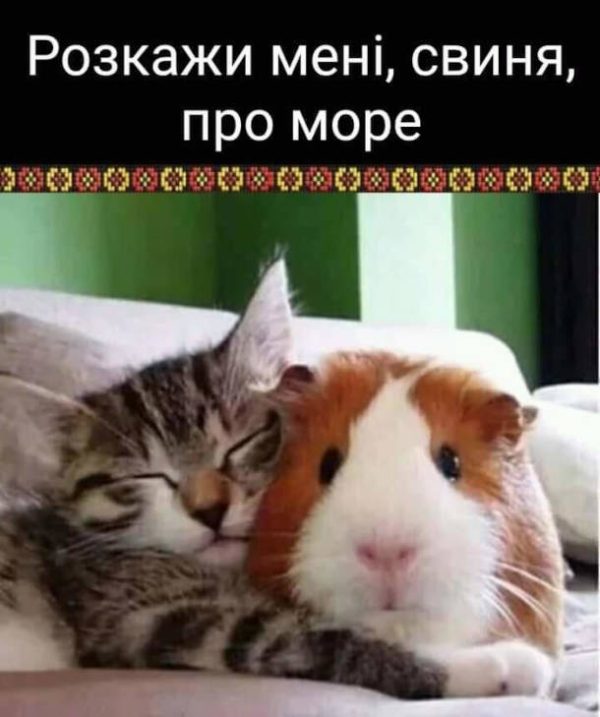 Море у 2025: